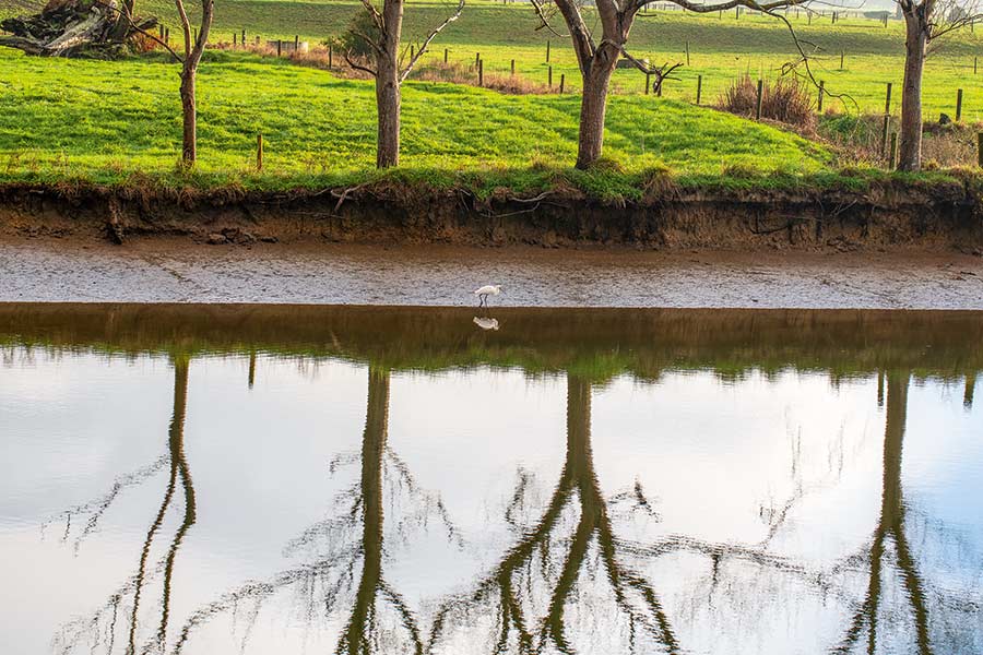This is the perfect terrain – a nice high grass ledge and a gentle mud bank for flounder to rise on with the incoming tide.