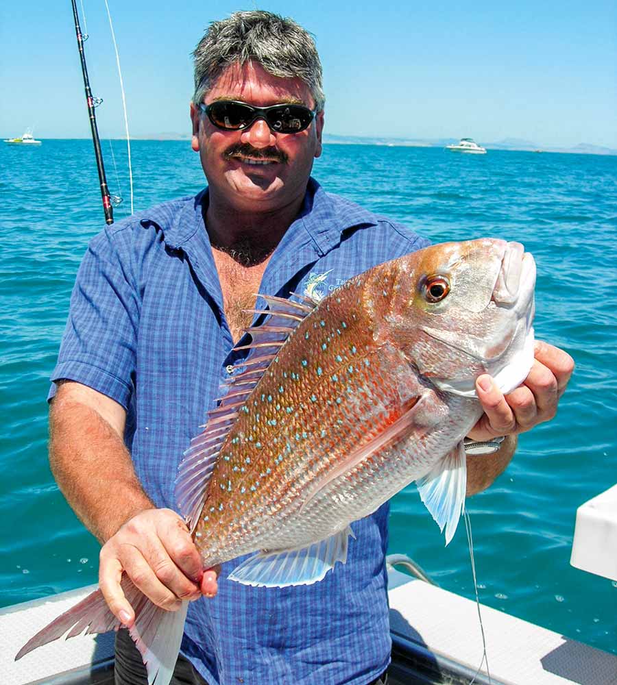 New Zealand's Fishing Geography The Fishing site