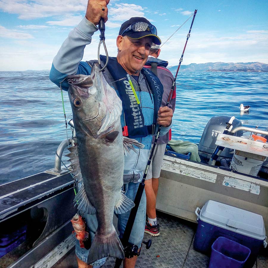 Kaikoura A Canyon of Opportunity The Fishing site