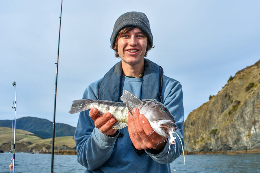 Kaikoura A Canyon of Opportunity The Fishing site