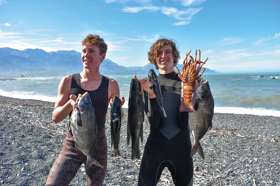 Kaikoura A Canyon of Opportunity The Fishing site