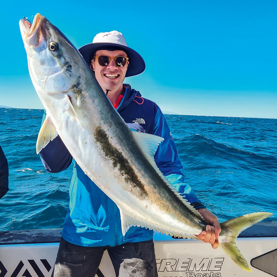 One decent fish like this can produce numerous meals.