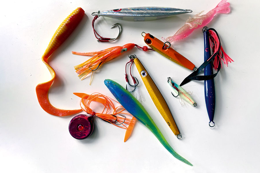 Kingfish on Light Lure Tackle The Fishing site