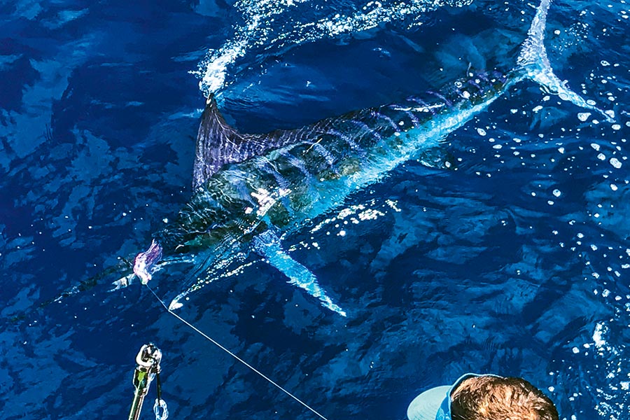 Being patient and anticipating the bite will have its rewards.