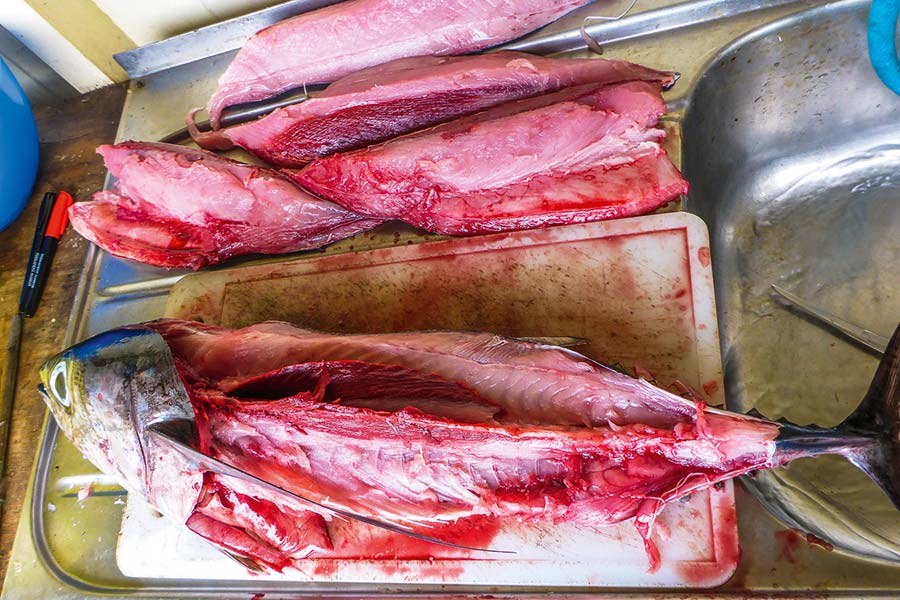 Four loins; two from the back and two from the belly.
