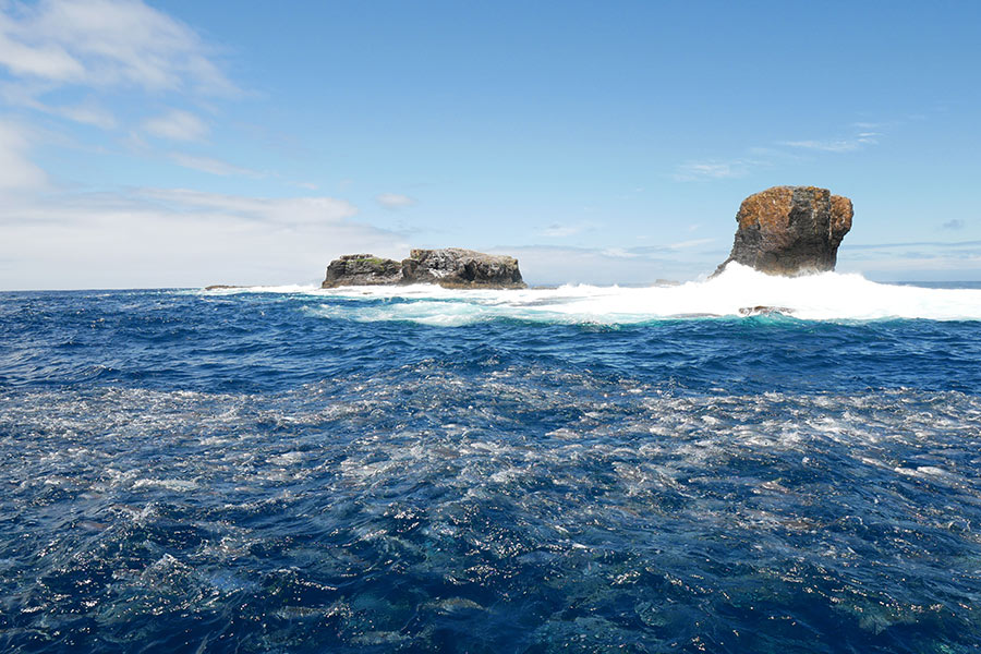 Perfect wash fishing conditions - swell, current and lots of bait to target with soft-baits or micro jigs.