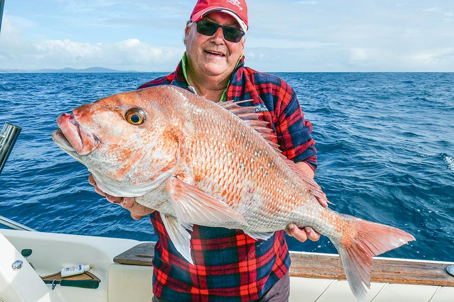 A soft-bait dropped into rising bait over a deep reef can prove deadly when targeting snapper.