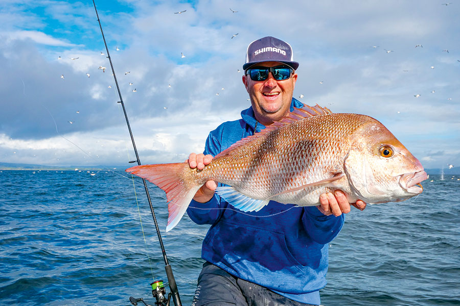 The writer with a snapper caught on a soft-bait under the gannets.