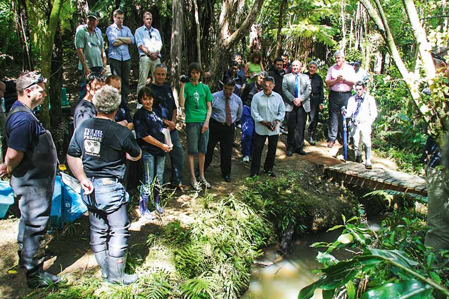 The original aim of this research was tied to rebuilding native fish populations in degraded streams.