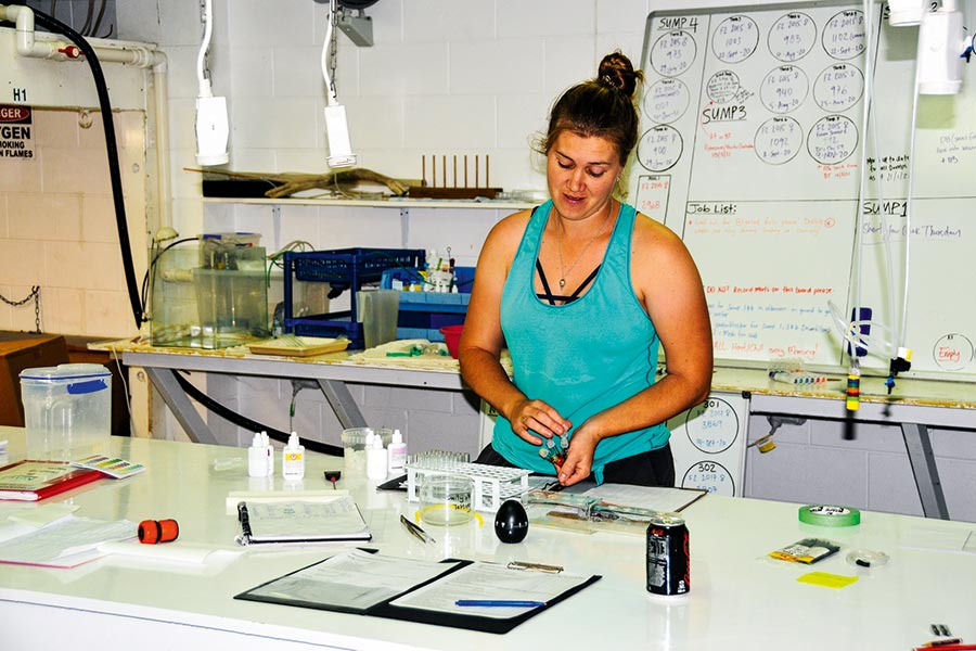 Manaki Whitebait employs a dozen staff at the moment and have not started serious commercial production yet.