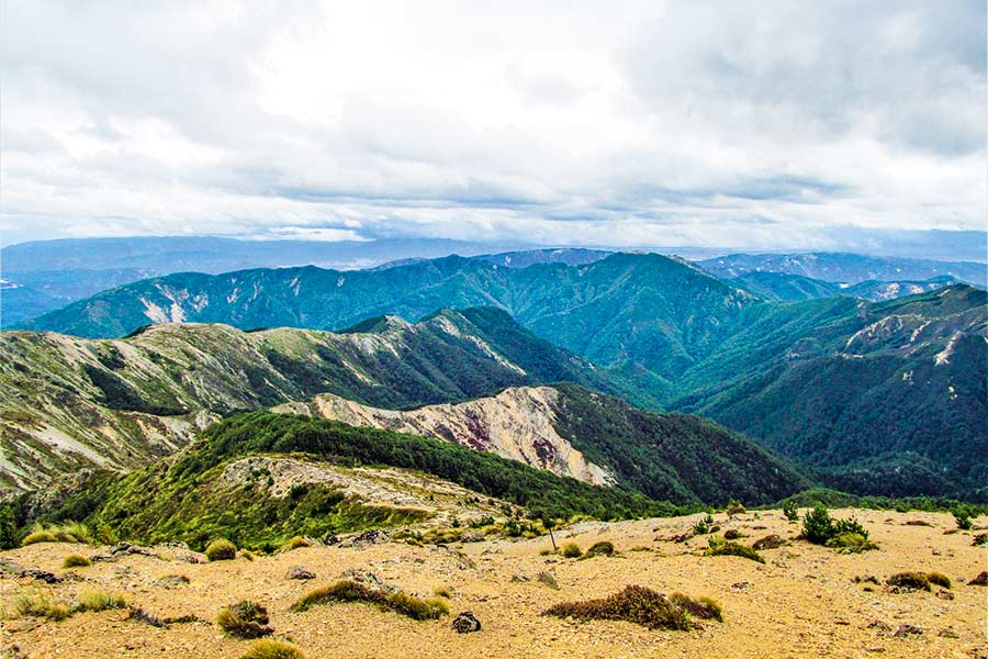 Kaweka Forest Park is one place definitely worth exploring.