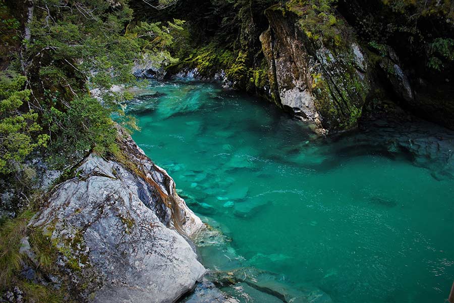 These beautiful Blue Pools of deep, clear water flowing into the Makarora River offer a moment of tranquility.
