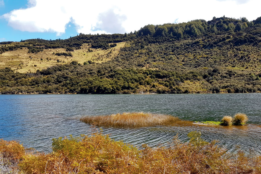 10 Tips for spinning and softbaiting for trout The Fishing site