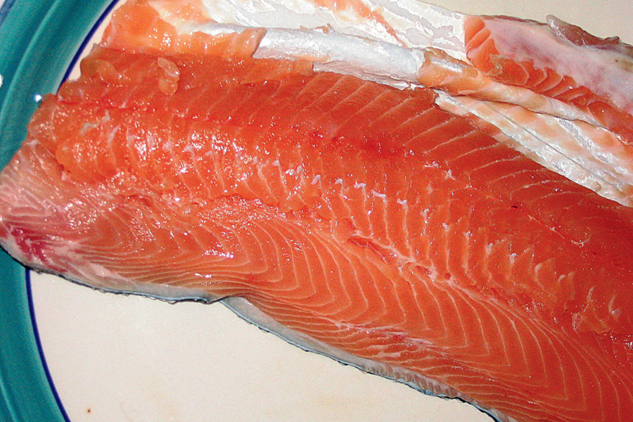 Catching and eating trout The Fishing site