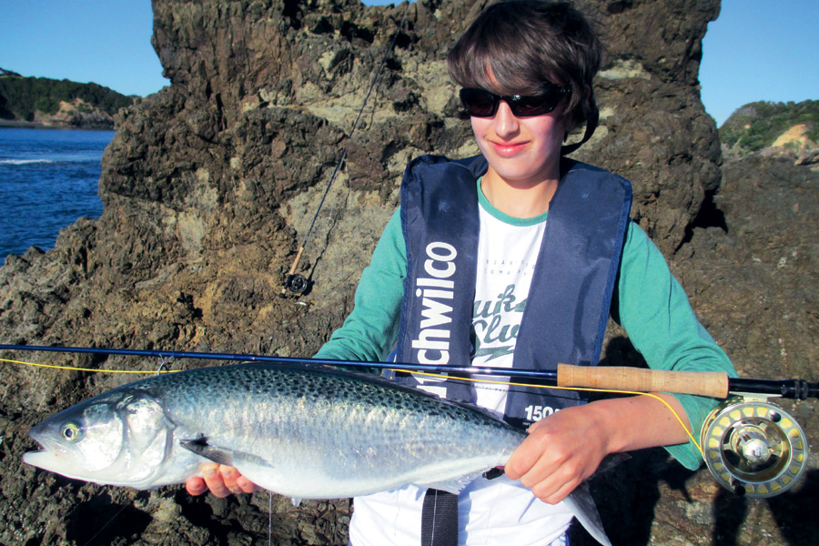 Catching kahawai from the shore The Fishing site