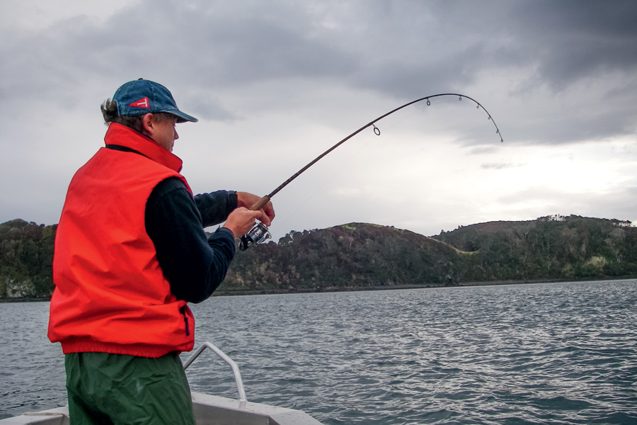 Catching Snapper on lures