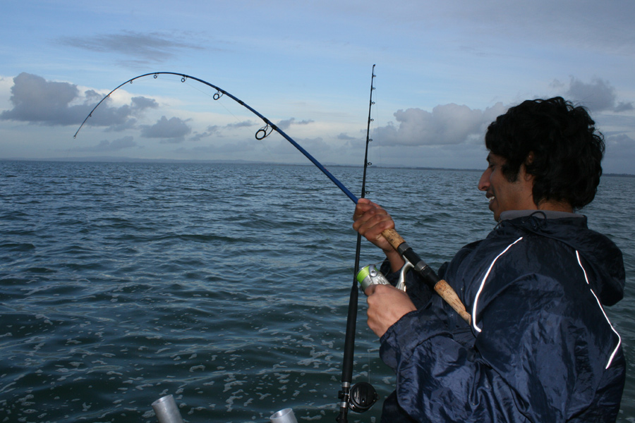 Fishing spots and tips for the Manukau Harbour The Fishing site