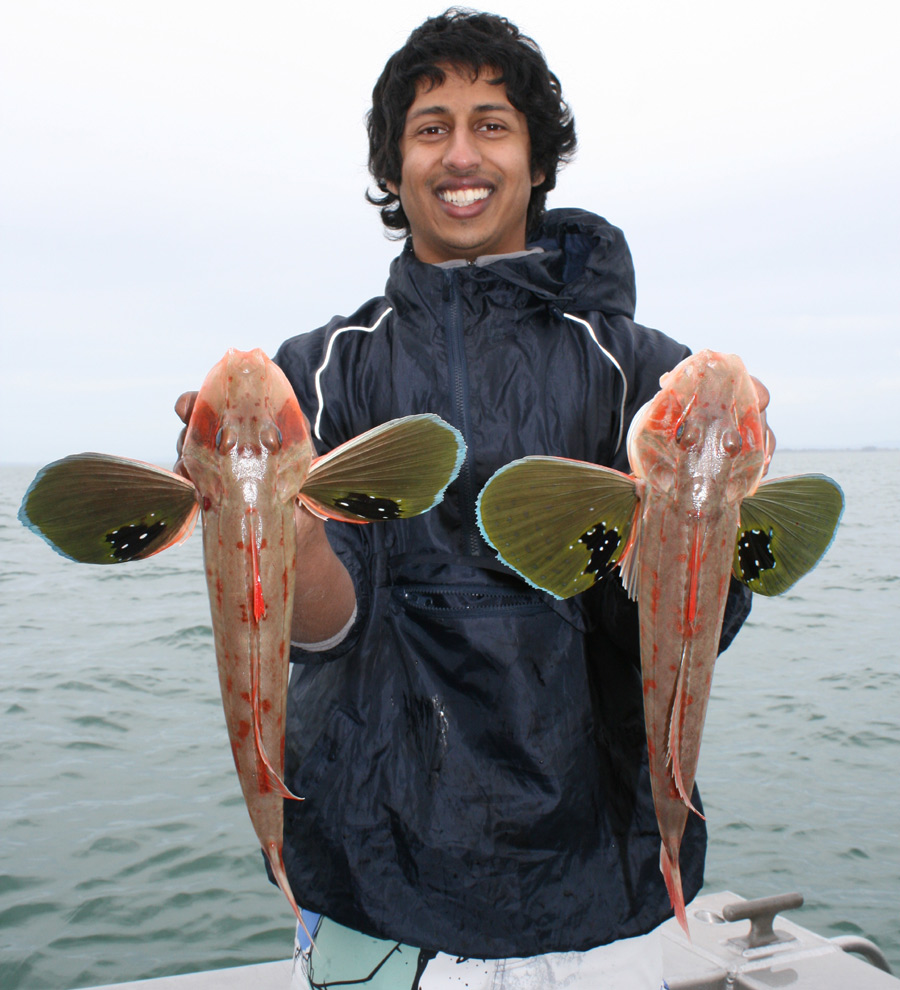 Fishing spots and tips for the Manukau Harbour The Fishing site