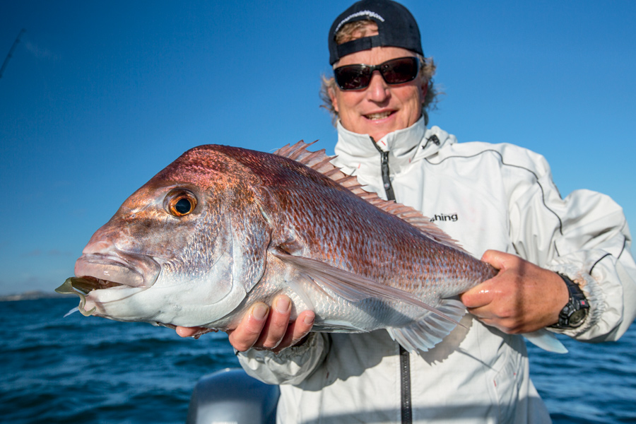 Fishing the Hauraki Gulf anchovy run The Fishing Website