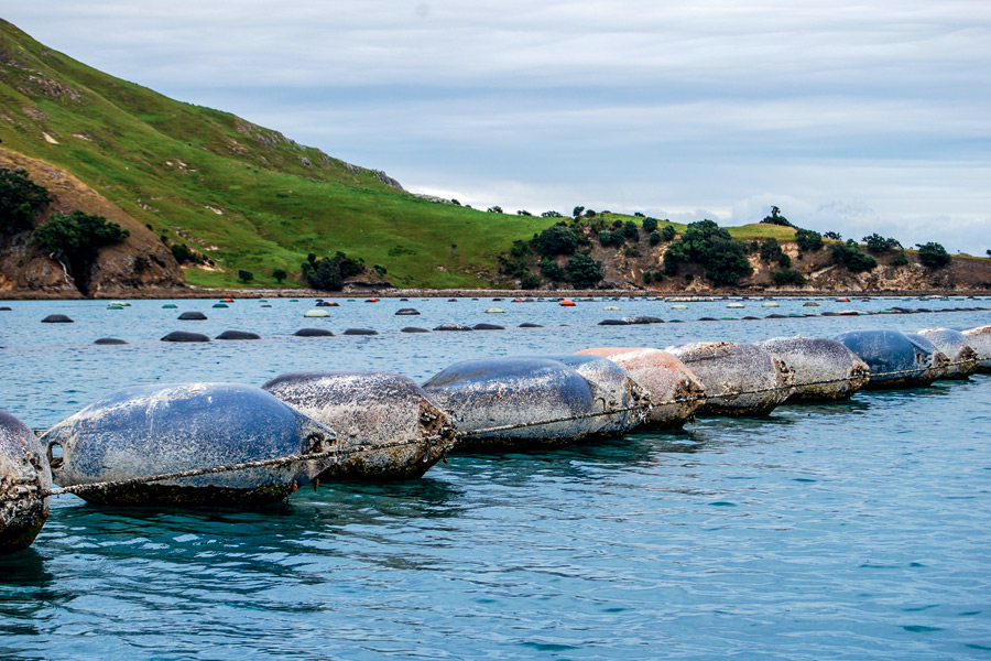 Fishing the mussel farms The Fishing site