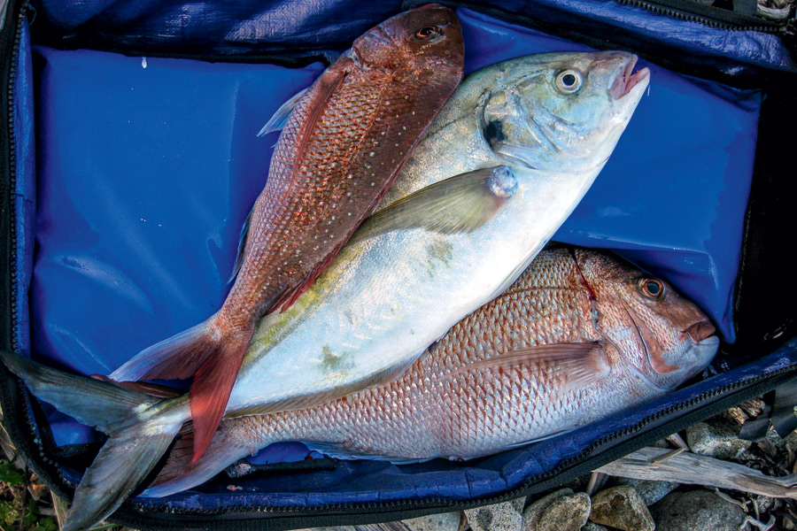 Fishing the mussel farms The Fishing site