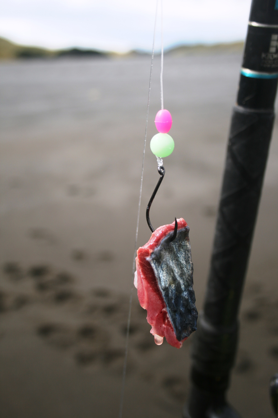 Four top baits for surfcasting The Fishing site