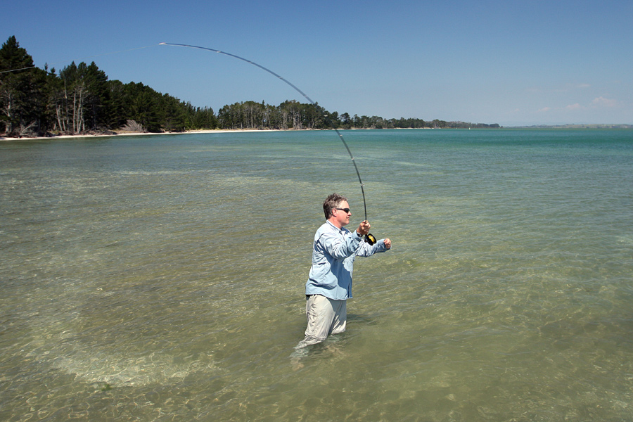 Harbour fishing for Kingfish which is the best? The Fishing site