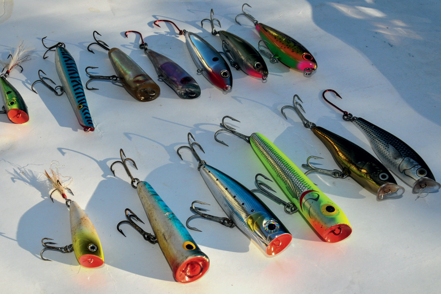 How to catch kahawai The Fishing site