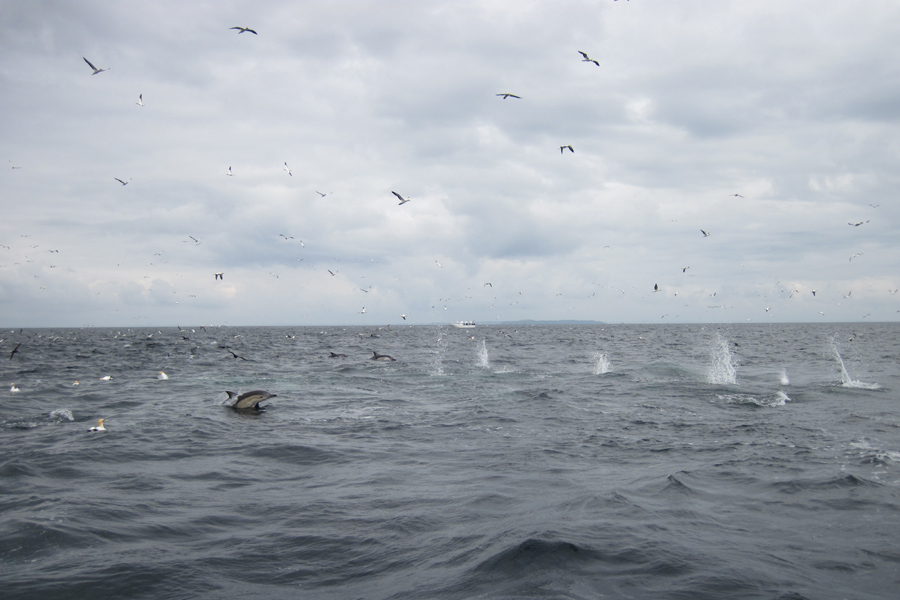 How to catch more fish - The Fishing Website