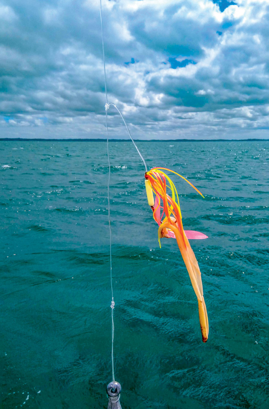 How to catch snapper using pilchards and squid