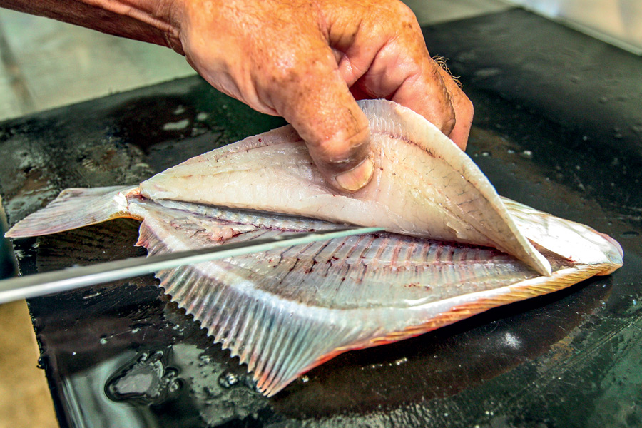 How to fillet flounder The Fishing site