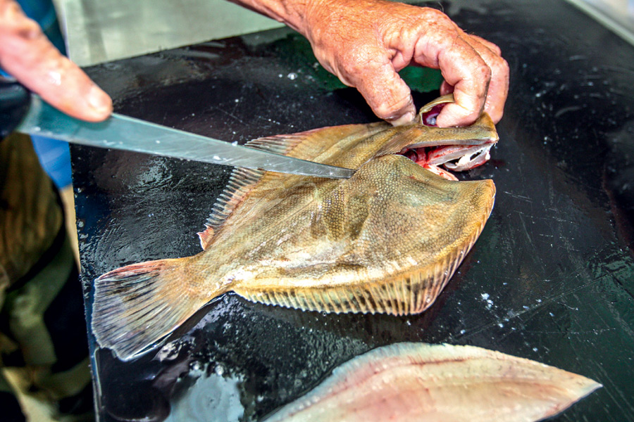 How to fillet flounder The Fishing site