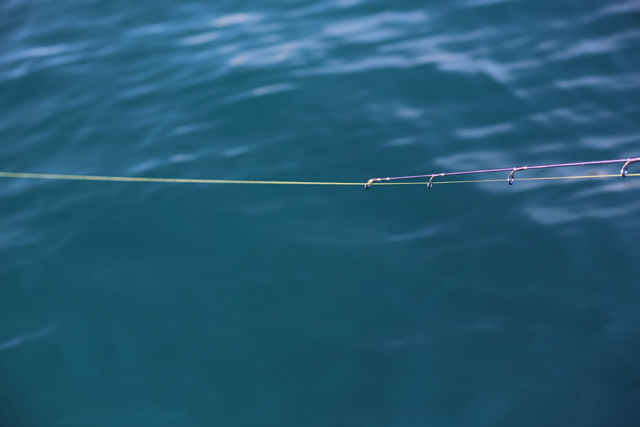How to select soft-bait braid