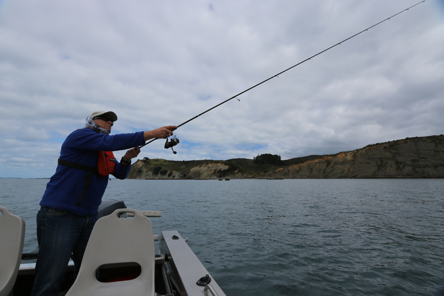 How to select soft-bait braid