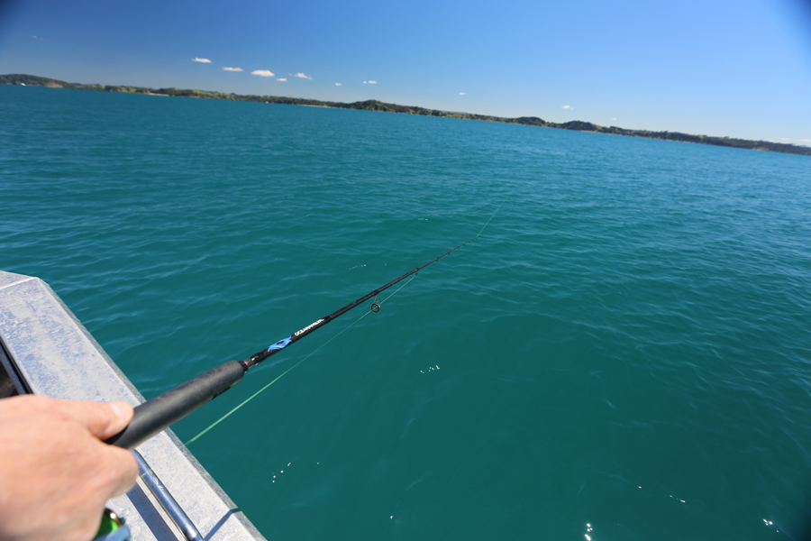 How to select soft-bait braid