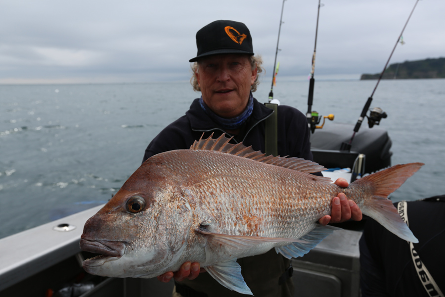 How to select soft-bait braid