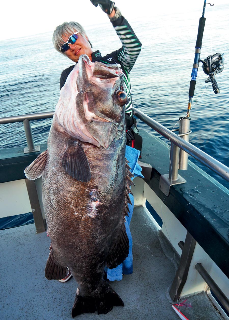 Jigging for kingfish