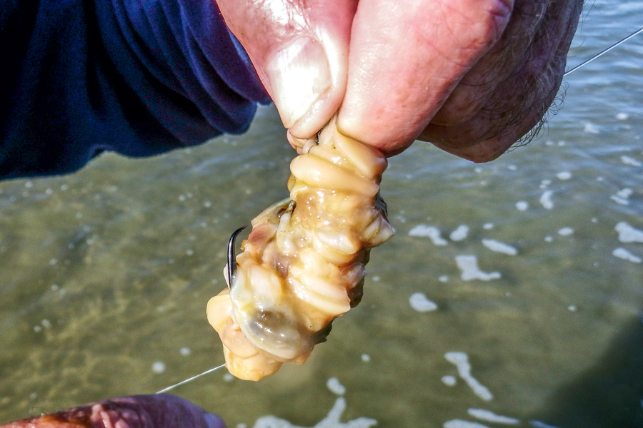 Keeping Baits On The Hook