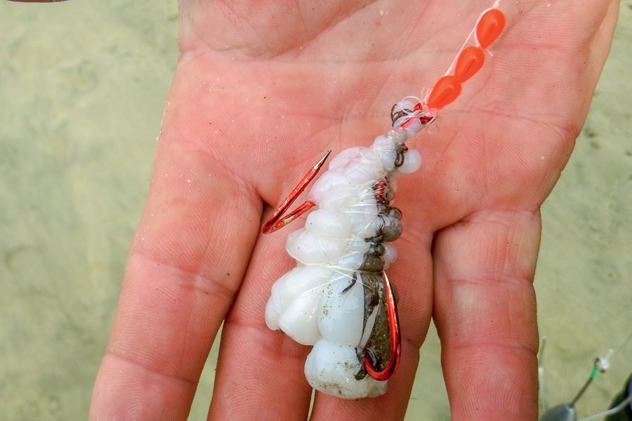 Keeping Baits On The Hook When Surfcasting Part 1 The Fishing site