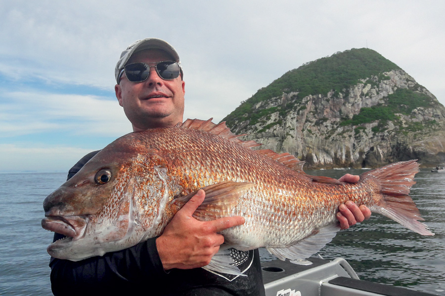 Livebaiting for kingfish