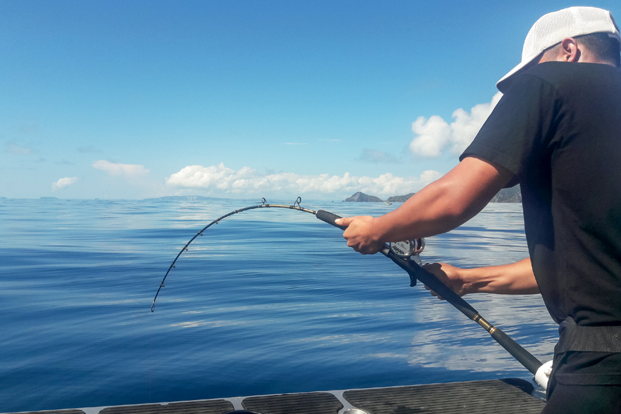 Livebaiting for kingfish