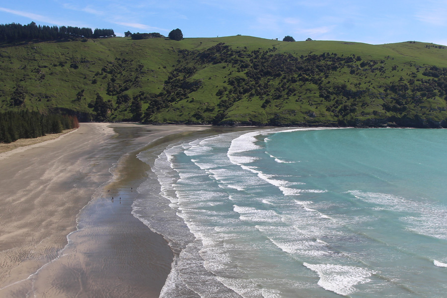 Netting flounder tips and techniques The Fishing site