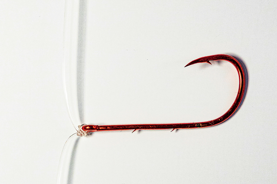 Rigging SoftBaits The Fishing site