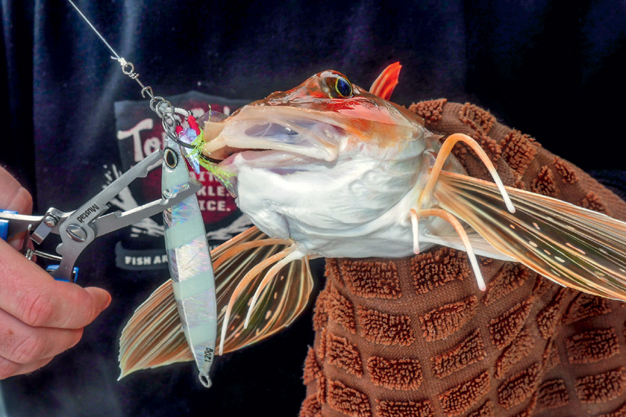 Learning how to fish with lures The Fishing site