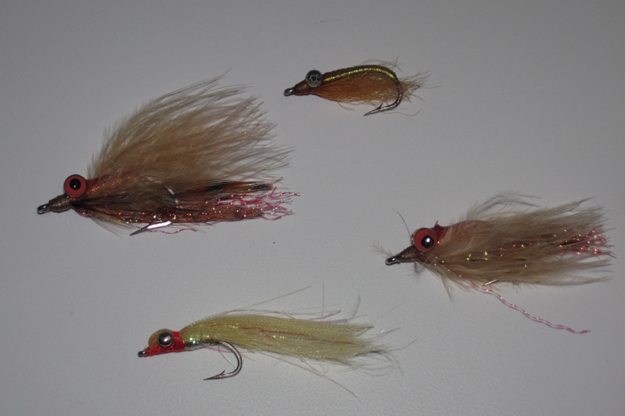 Saltwater flyfishing gearing up The Fishing site