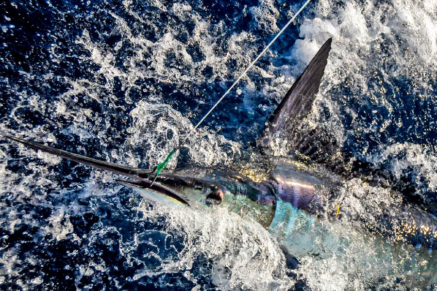 Selecting hooks