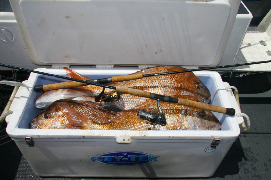 Snapper fishing - using soft plastics