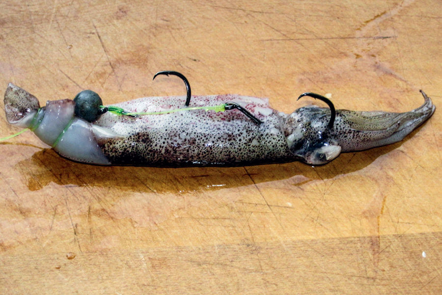 best fishing lure box Best Tackle Boxes for Fishing