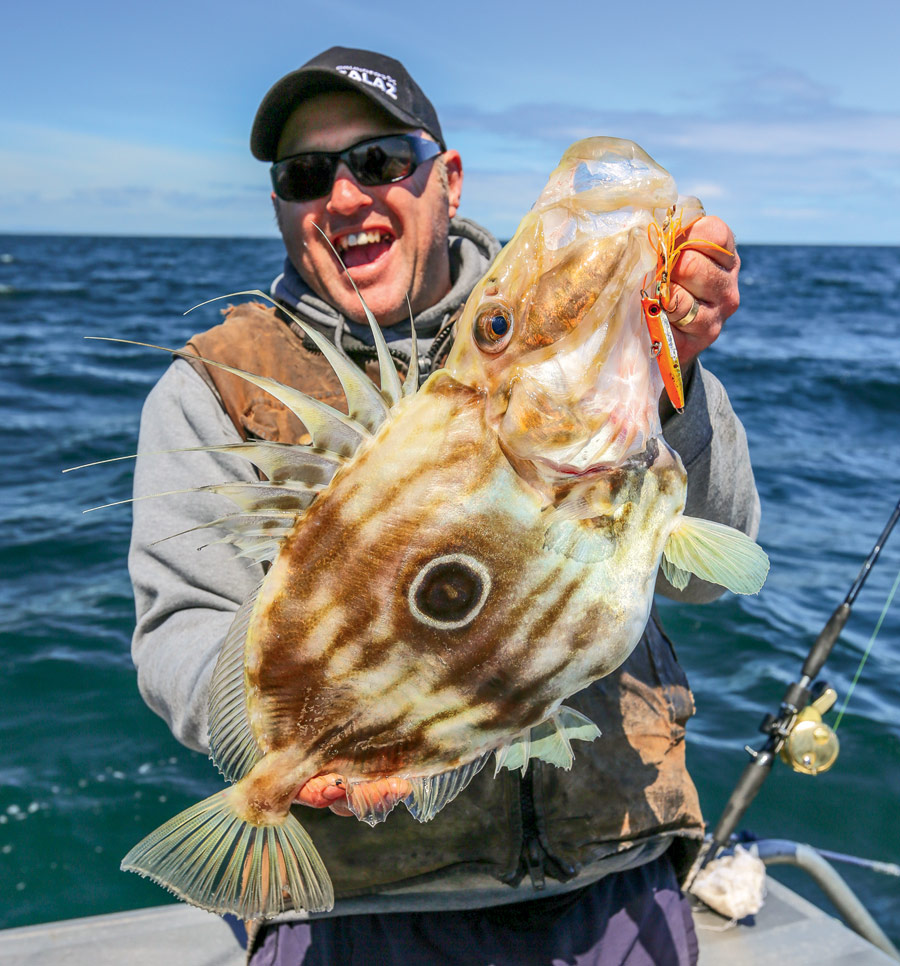 Snapper for beginners lures The Fishing site