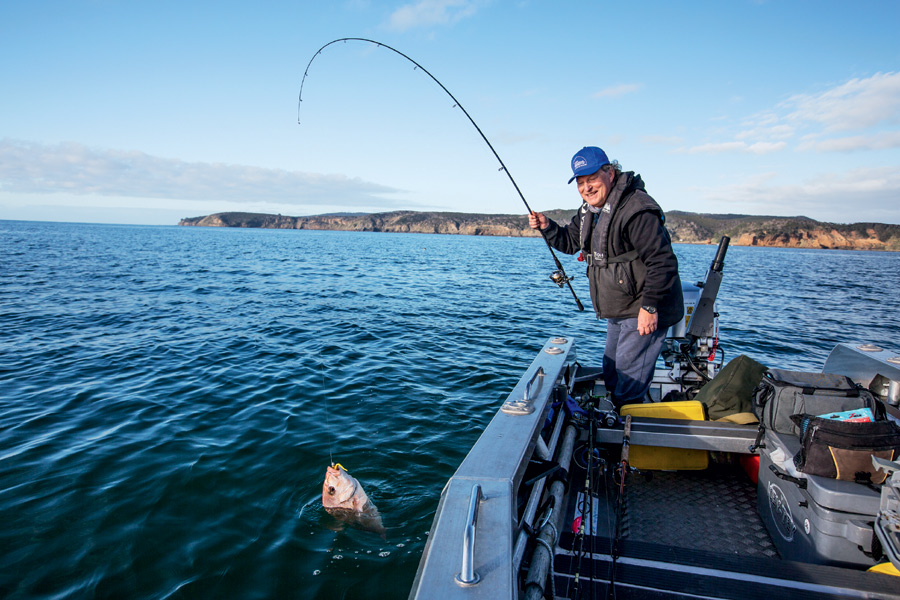 Softbait fishing longer rods The Fishing site